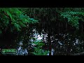 Sleeping Music, Your Garden Rain Sound Mix Pinao Sound, Chill Music, Sleeping Well