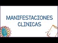 VIH / SIDA - fisiopatología, virología, signos y síntomas, diagnóstico, tratamiento y prevención