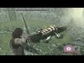 Shadow of the Colossus - The Cut Colossi