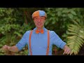 Blippi Explores the Forest with Brave Wilderness! | Educational Videos for Kids