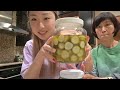 SUPER EASY & GUILT FREE pickles (make your own pickles cuz y not)