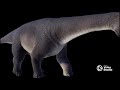 Nigersorus Rex