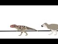 (dc2) nanuqsaurus vs JP3 ceratosaurus