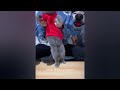 New Funny Animals 2024 😜 Funniest Dogs and Cats 😻🐶