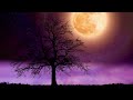 Calm Your Mind. Watch the Moon Rise in 16 Minutes - Relaxing Music For Anxiety and Stress Relief.