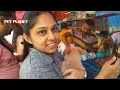 Galiff Street Pet Market Kolkata | dog market in kolkata | pet planet | dog market in kolkata price