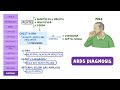 Respiratory distress syndrome: Pathology Review