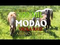 MODÃO DAS ANTIGAS - AS MELHORES | SERTANEJO RAIZ | MODA DE VIOLA - MODÃO RAIZ