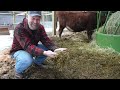 No Barn Smell Equals a Healthy Management System - Deep Bedding Method
