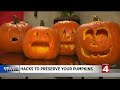 Hacks to preserve your pumpkins: Do they work?