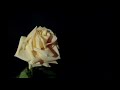 Richard Clayderman  - Time To Say Goodbye