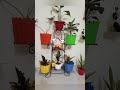 UNBOXING, Meesho 7 tier plant stand, #meesho #viral #shorts