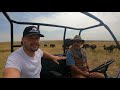 Holistically Managed Bison Ranch, The Buffalo Guys