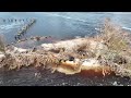 Million dollar private island washed away in Hurricane Ian