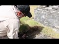 Maintaining Japanese Lawn Grass zyoysia japonica in Cemeteries