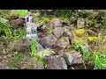 Nature Sounds from Mount Tomah Botanic Gardens