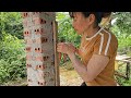 complete second gate,made of wood and palm leaves for the farm | Ban Thi Diet