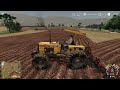 20 - Colhendo Feijão preto - Agronópolis Original - Farming Simulator 19.