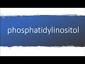 How to pronounce phosphatidylinositol
