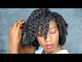 TRY THIS to get YOUR BEST Twist-Out on Natural Hair!!