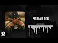 Big Walk Dog x MoneyBagg Yo Type Beat 
