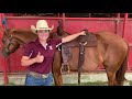 Good Horse! How to Properly Fit a Western Saddle
