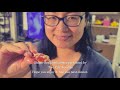 Ginger Scallion Lobster Chinese Style Recipe Tutorial