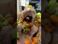 turkey prep part 3