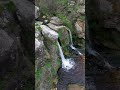 Hayburn Wyke Waterfall #lovegreatbritain #northeastengland