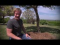 Make Wisteria Bloom | At Home With P. Allen Smith