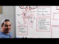 Acute Ischemic Stroke: Etiology, Pathophysiology, Clinical Features, Diagnostics, Treatment