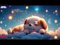 Fall Asleep Quickly 🎵 Lullabies for Babies to Go to Sleep 🎵 Baby Sleep Music