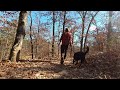 Hiking A Trail Through The Autumn Woods