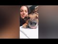 Dog Reaction to Cutting Cake 🐶 - Funny Dog Cake Videos | Pets Island