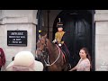 8 times the kings guard used their horse to move tourist's away #horseguardsparade