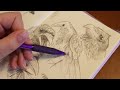 Sketching crows with only a pencil (filling my sketchbook!)