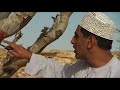 A la découverte du Sud d'Oman et du Dhofar