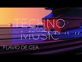 FLAVIO DE GEA - SET TECHNO MUSIC - PRIVATE PARTY 23.02.24