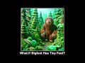What if Bigfoot Has Tiny Feet? | Children's Indie Folk Song