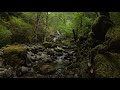 Nature Sounds for sleep and meditation - Sitting by a Waterfall #2 1/2