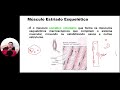 Anatomia do Sistema Muscular #1