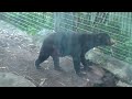 Perth Zoo - Updated Video  - Western Australia