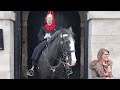 The most  sweetest heartwarming moments from horse guards ❤️ #kingsguard