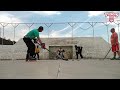 Training inline hockey