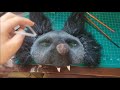 Making a Fox Mask! (Animal/therian Mask) TUTORIAL