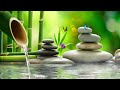 Relaxing Piano Music & Water Sounds | Bamboo, Calming Music, Meditation Music, Nature Sounds, Study