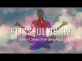 (TRY TO LISTEN WITHOUT FALLING ASLEEP) BLISSFUL BEING