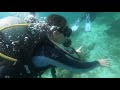 SCUBA DIVING IN MACTAN CEBU (MUST TRY!!!)