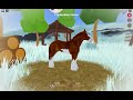 LETS GO HUNTING FOR THE NEW CLYDESDALE REMODELS! | Wild Horse Islands