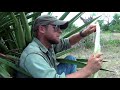 Survival Desert Sugar Water -Yucca Juice-